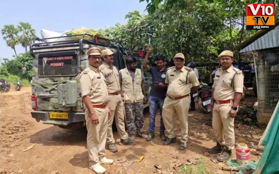 పులి అడుగులు.. పల్లెల్లో అలజడి! — చిత్రం 2
